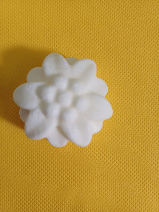 Fondant parfumé " jardin anglais"